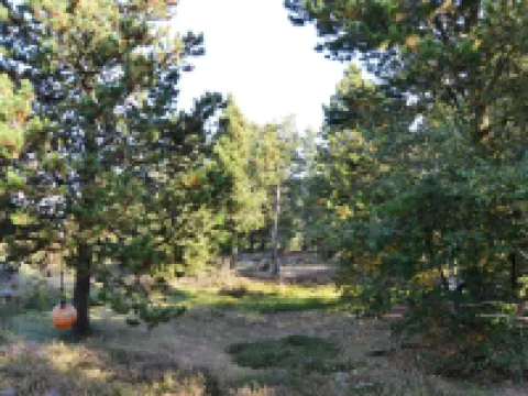 "Christian" - 3.5km from the Sea