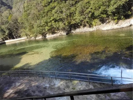 Sanqingshan Taoyuan Inn Отели в г. Десин