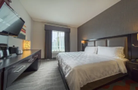 Holiday Inn & Suites HOUSTON WEST - WESTWAY PARK by IHG Hotels near Memorial City