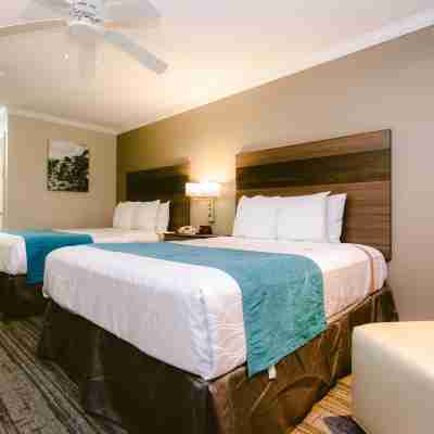 Best Western Pearland Inn Rooms