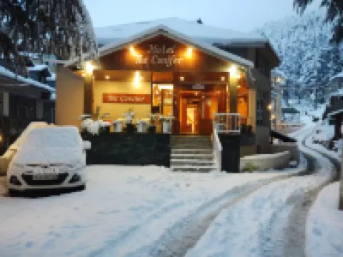 針葉樹飯店