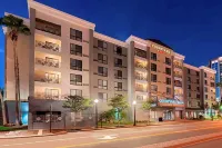 Courtyard Tampa Downtown Hotels in Tampa