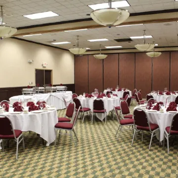 Wyndham Garden Romulus Detroit Metro Airport