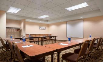 Country Inn & Suites by Radisson, Dundee, MI