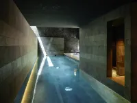 L'Esquisse Hotel & Spa Colmar - MGallery - Pool