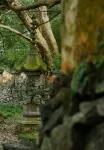 Tiantai Shanqing Homestay