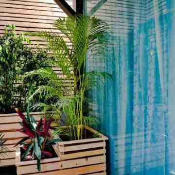 Hangover Resort Others