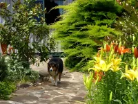 더 부메랑 앳 요한나 Cape Otway Lighthouse walking path 주변 호텔