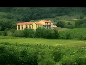 Wohlfühlhotel Alte Rebschule