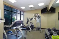 Holiday Inn & Suites PHOENIX AIRPORT by IHG - Phòng tập thể hình