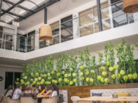 Hotel Montes de La Castellana Hotels in Armenia