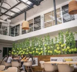 Hotel Montes de La Castellana Hotels in Armenia