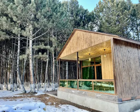 Milenium Villa Hotels in Sevan