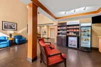Comfort Suites Roanoke - Fort Worth North Hotels in Westlake