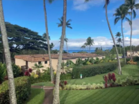 MAUI BEAUTY ~ Tropical Napili Bay Lahaina CONDO ~1BR King ~ Kitchen ~ AC!!!