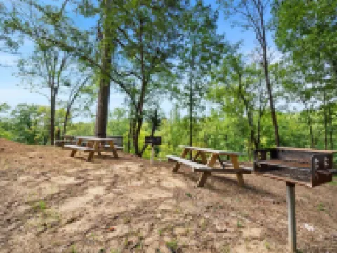 Lucky's Canoe & Kayak Cabin #1 - Caddo River Access! Hotels in Caddo Gap