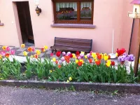 Calm, rest and relaxation on the program with this gîte located in the heart of Alsace Hôtels à : Fréland
