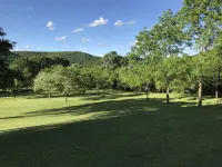 Large fully-furnished family home nestled in beautiful elk country. Hotels in Weedville