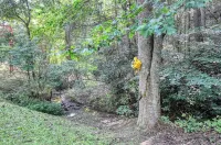 Private - Spacious- Creek Lined Cabin