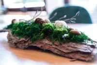 Nature Terminal Apartment - Emma Matratze & Waiputv