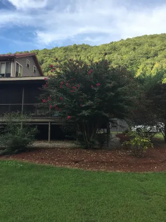 Al's Place - A place to Dream