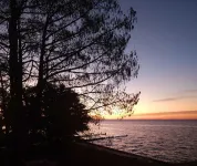Seaside Serenity on the Sound