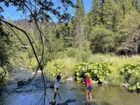River Access Hotels in Plumas County