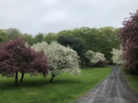 Escape to an Exclusive Mountain Retreat: Experience the Splendor of all seasons. Hotels in Hillsdale