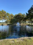 Cajun Country at its best. Private Acadian style guest house on estate property.