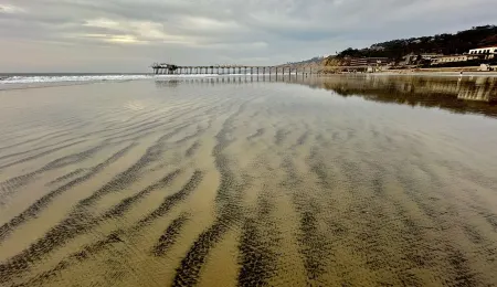 Mid-Century Modern Oasis in La Jolla Shores: Steps to Beach, Fun for Families! Отели рядом с достопримечательностью «Шелл Бич»