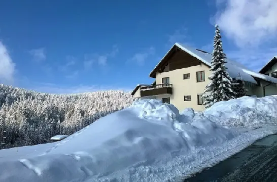 Quiet, idyllic, family-friendly, free internet, little cleaning costs Отели в г. Тодтмос