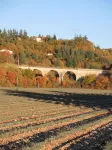 Gite at the foot of Mont Ventoux, between Sault, gorges de la Nesque and Monieux Hotels in Monieux