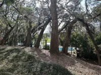 Beach Villa at Omni Amelia Island Resort - Amelia Island Plantation 2 BR/2 BA