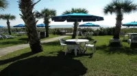 "Direct" Ocean Front 9th Floor Cozy Coastal Cottage Reasonable Rates - Jacuzzi