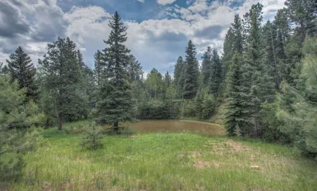 Charming Cabin on Dream Property