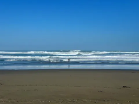 Waterfront 2 Bed-King/Queen , 2 Bath + Incredible Views Perched  over Bodega Bay Hotels in Bodega Bay