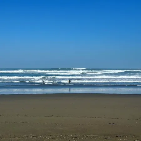 Waterfront 2 Bed-King/Queen , 2 Bath + Incredible Views Perched  over Bodega Bay
