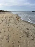 Pets Welcome! Large 4 Bed Beach View Privately Own/Operated