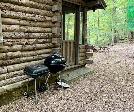Peaceful, Secluded Cabin near Beaver Lake