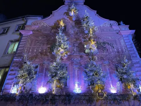 La Grange de Sophie - Charmant Duplex 70m2 Tout Équipé Proche Strasbourg