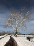 The Cottage at Still Pond Farm – Horse Farm Near Charlottesville & Shenandoah