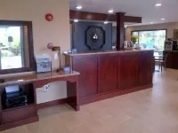 South West Mermaid Inn - palestra