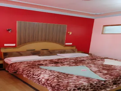 Hotel Snow Palace Hotels in Sonwar Bagh