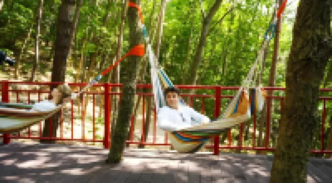 Romyzian Garden Mountain House