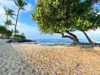 True Oceanfront, Top-Floor, Downtown, Central A/C, Free Parking