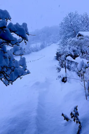 Ferienwohnung Gehrihorn