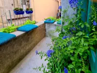 Amorino Hotels in Cres