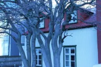 Grettir Guesthouse