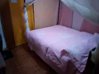 좀비우드 호텔 키투이 호텔