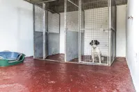 Ashgrove Farm - Llawhaden - Narberth